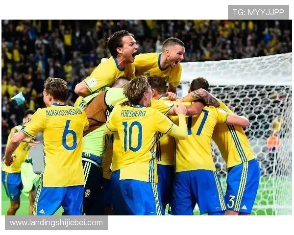 未来几届世界杯举办地的选择标准与各国申办的优势分析