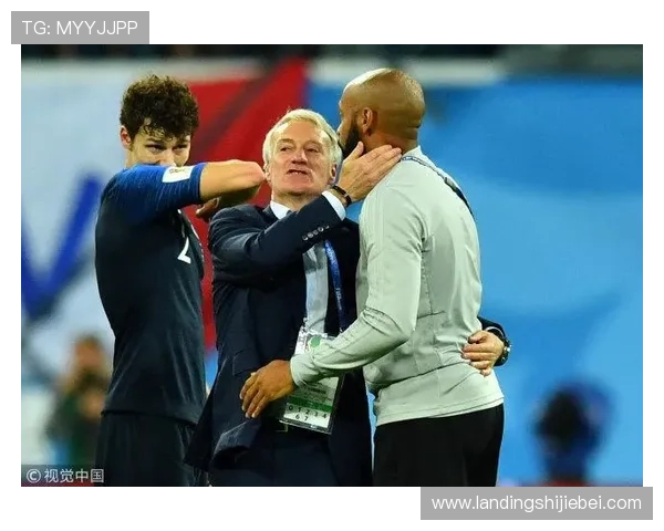 法国队夺冠后球迷庆祝场面与社会反响的多角度报道