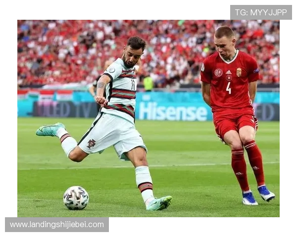 2024年世界杯预选赛分配名额的详细方案与各国参赛资格解析