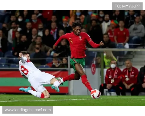 2024年世界杯官方入口入口入口全攻略,确保用户轻松访问官方直播平台